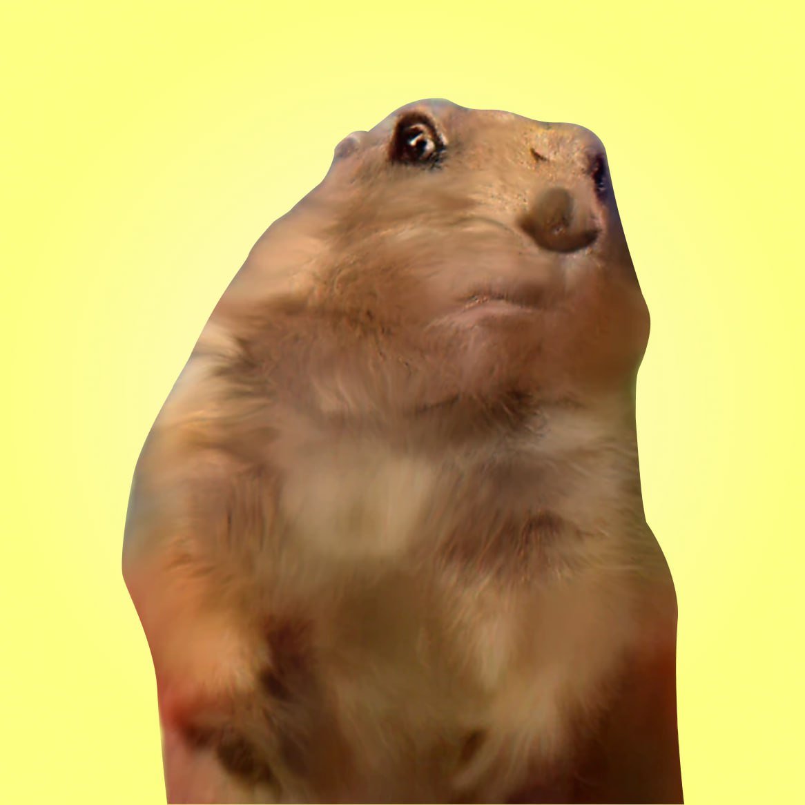 عملة $Chipu

من تيم بيبي جيري المعروف بتكون على شبكة سولانا, بوايتلست ستلث على منصة بينك سيل ديجن (pinksale.finance/degen) بماكس شراء 0.5 سول للوايتلست ويفتح عام بعد دقائق, سيتم انشاء رابط الديجن في الأيام القادمة

التلقرام: t.me/chipusol
تويتر: x.com/chipusol