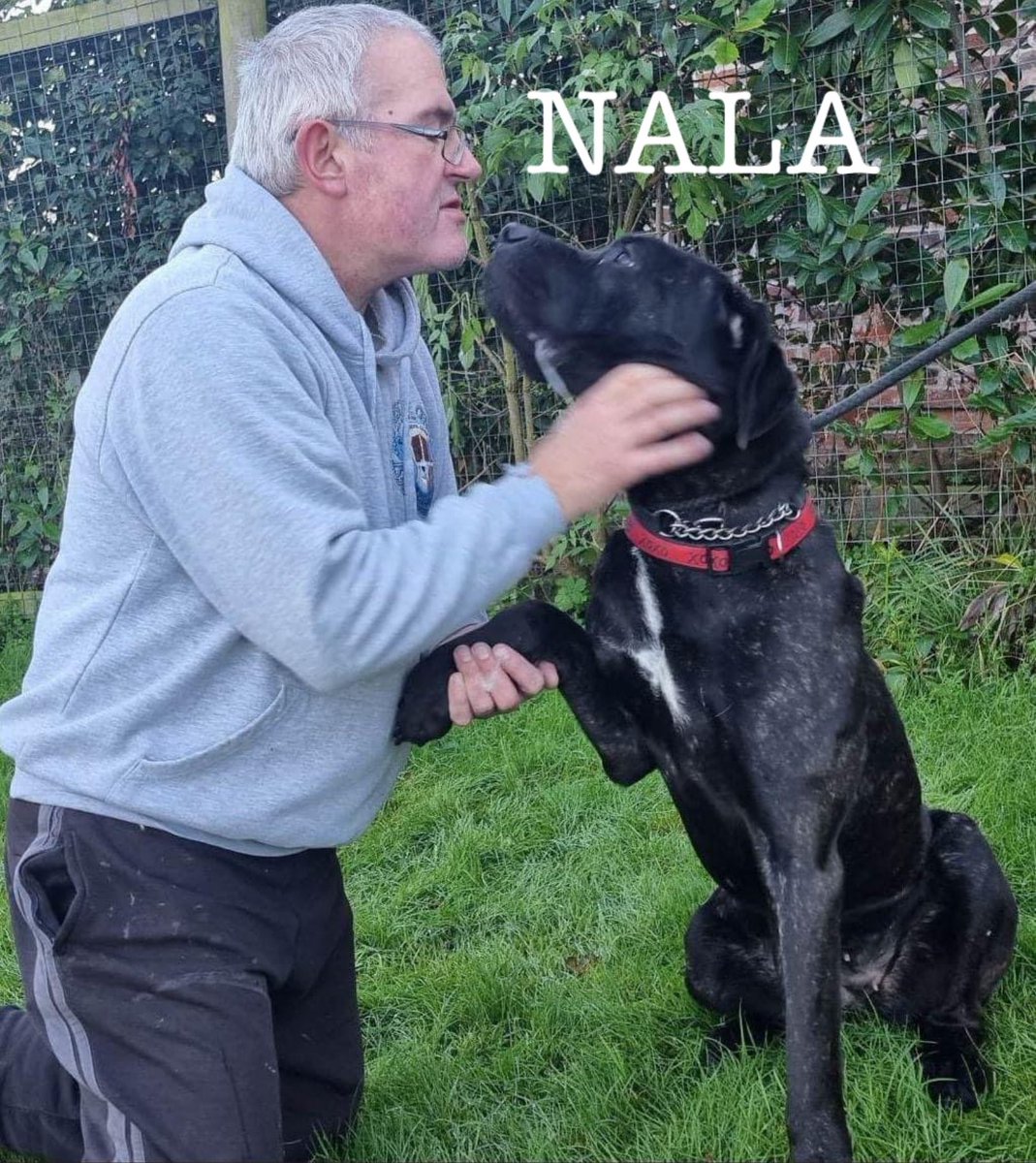 DorisBanhamDogs's tweet photo. https://t.co/HRN7vDIotB