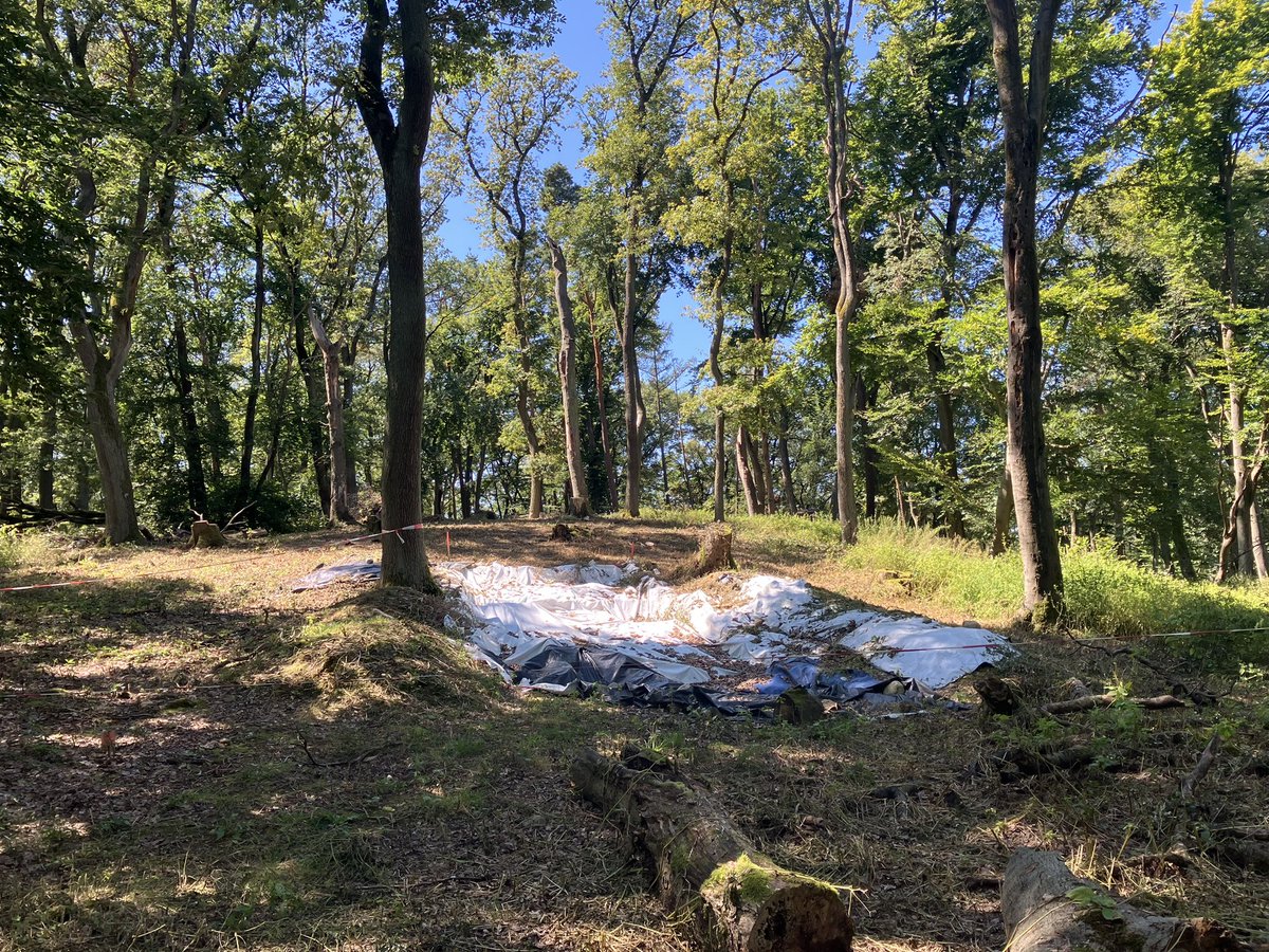 Detlef Gronenborn | @dgron.bsky.social (@dgronenborn) on Twitter photo Getting prepared for 2024 field school at #Kapellenberg . Trench from last year cleared by forrester <a href="/Leif_Leonhardt/">Leif Leonhardt</a> . Great many thanks!!! 👍👍👍
<a href="/stadthofheim/">Hofheim.de</a> <a href="/leizarchaeology/">Leibniz-Zentrum für Archäologie (LEIZA)</a> <a href="/CVogt79/">Christian Vogt</a> Getting prepared for 2024 field school at #Kapellenberg . Trench from last year cleared by forrester <a href="/Leif_Leonhardt/">Leif Leonhardt</a> . Great many thanks!!! 👍👍👍
<a href="/stadthofheim/">Hofheim.de</a> <a href="/leizarchaeology/">Leibniz-Zentrum für Archäologie (LEIZA)</a> <a href="/CVogt79/">Christian Vogt</a>