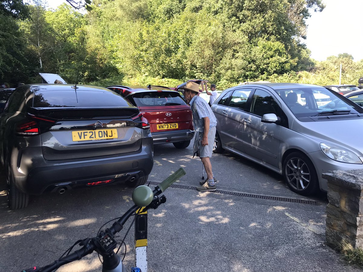 Katherine Gough tweet media