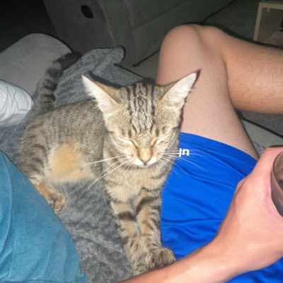 tim_brs_'s tweet photo. #NouvellePhotoDeProfil https://t.co/MThDXu1Rra