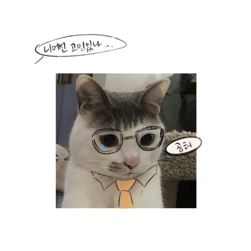 📕베닛🐰 tweet media