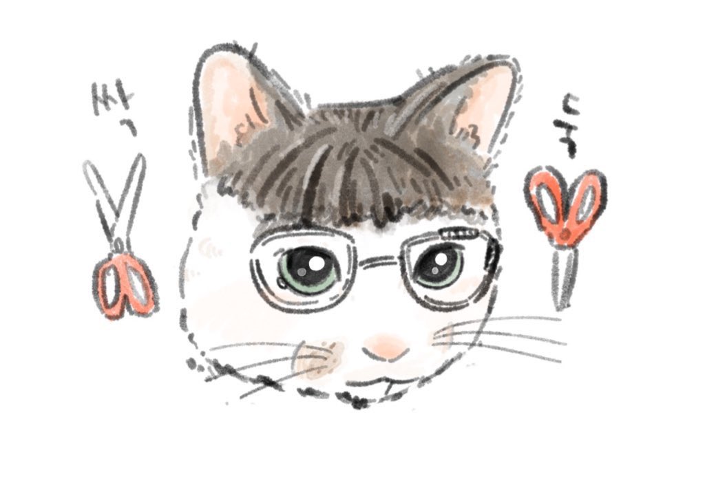 📕베닛🐰 tweet media