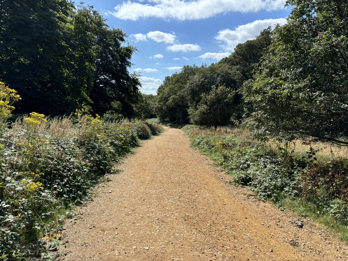Helena Train (@helenaphysio) on Twitter photo #AHPsActive on a long dog walk with friends in Epping Forest. When your friends include a nurse <a href="/laird154/">Gill Laird 🏴</a> and doctor (Hilary) you could call it the MDT #AHPsActive on a long dog walk with friends in Epping Forest. When your friends include a nurse <a href="/laird154/">Gill Laird 🏴</a> and doctor (Hilary) you could call it the MDT