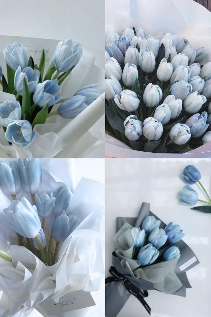 nothingmoment_'s tweet photo. Tulips https://t.co/DdM5T3nqkR
