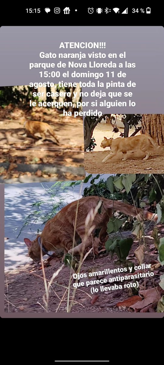 Lauripenya's tweet photo. @areagossosbdn #badalona https://t.co/ZAfdyRrmvl