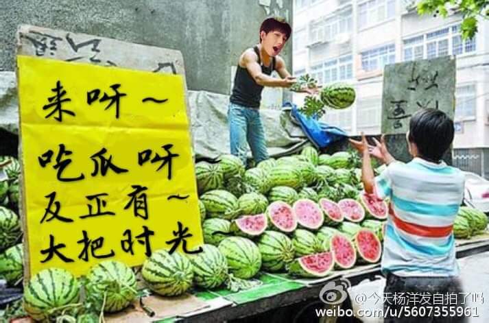 yychoops09's tweet photo. ใครเป็นคนทำอาตี๋ร้านแตงโมคะ นั่งขายอยู่ดีดี
#เท่ห์ไม่คุย #yangyang #yangyang杨洋 #หยางหยาง #杨洋 #양양 #ヤン・ヤン https://t.co/oxrXDcFRCn