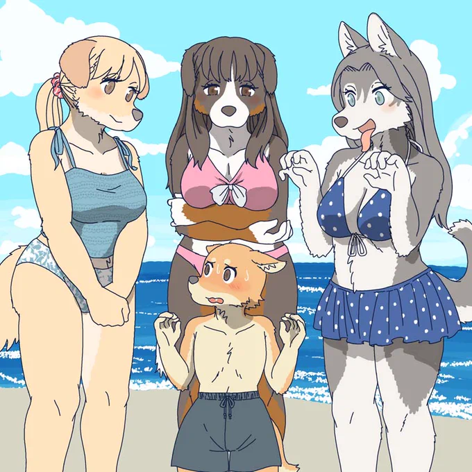 大型犬に囲まれる柴犬 