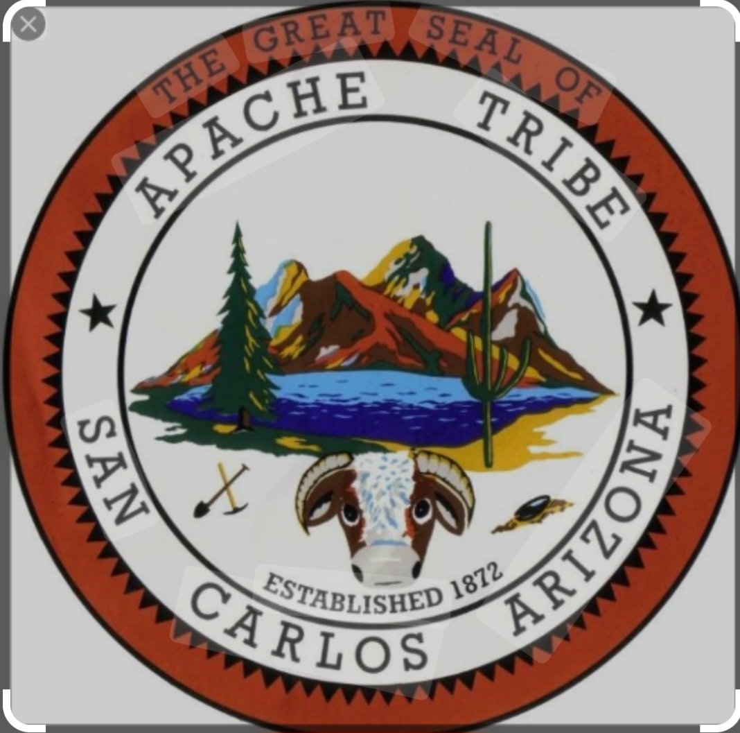 PatriziaTenda's tweet photo. La riserva Apache San Carlos, in Arizona, è la prima tribù Nativa ad appoggiare la candidatura presidenziale di Kamala Harris.
#NativesForKamala🐎
#KamalaHarris2024 
#scritturebrevi https://t.co/NZzxkp9DBs