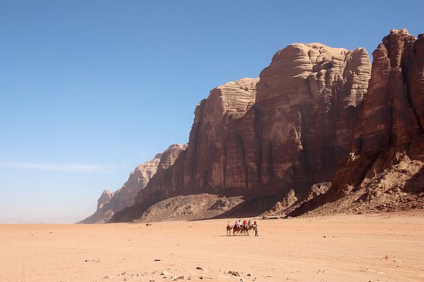 Eventide ﴾جُـنْـح الـلّـيْل﴿ tweet media