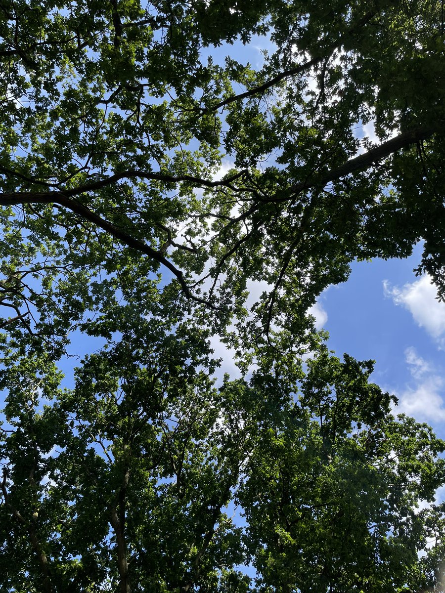 بعض البشر من كثر مافيه من طيب
كأنه علاج الروح بهيئة إنسان.❤️