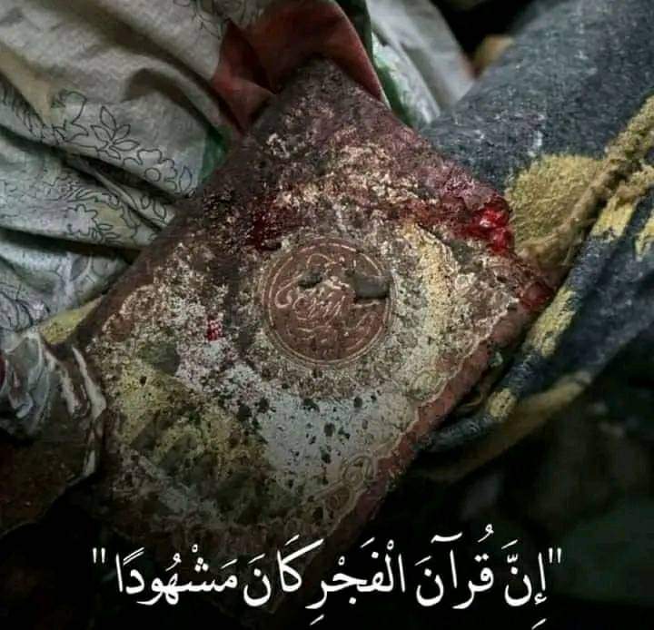 مئه شهـ. ـيد ساجد ، وأمه كامله راكعه.
#مجزره_صلاه_الفجر 💔
#مجزرة_مدرسة_التابعين