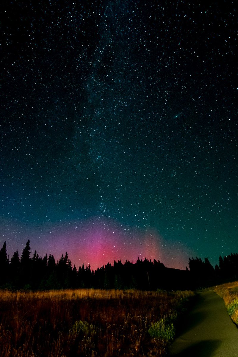 Tony Johnson (@tonyjpix) on Twitter photo the #aurora from #HurricaneRidge last night #olympicnationalpark #findyourpark #wawx #northernlights #auroraborealis #spaceweather @TabithatSkov <a href="/NWSSeattle/">NWS Seattle</a> <a href="/komonews/">KOMO News</a> <a href="/KING5Seattle/">KING 5 News</a> <a href="/KIRO7Seattle/">KIRO 7</a> <a href="/OlympicNP/">Olympic NPS</a> the #aurora from #HurricaneRidge last night #olympicnationalpark #findyourpark #wawx #northernlights #auroraborealis #spaceweather @TabithatSkov <a href="/NWSSeattle/">NWS Seattle</a> <a href="/komonews/">KOMO News</a> <a href="/KING5Seattle/">KING 5 News</a> <a href="/KIRO7Seattle/">KIRO 7</a> <a href="/OlympicNP/">Olympic NPS</a>