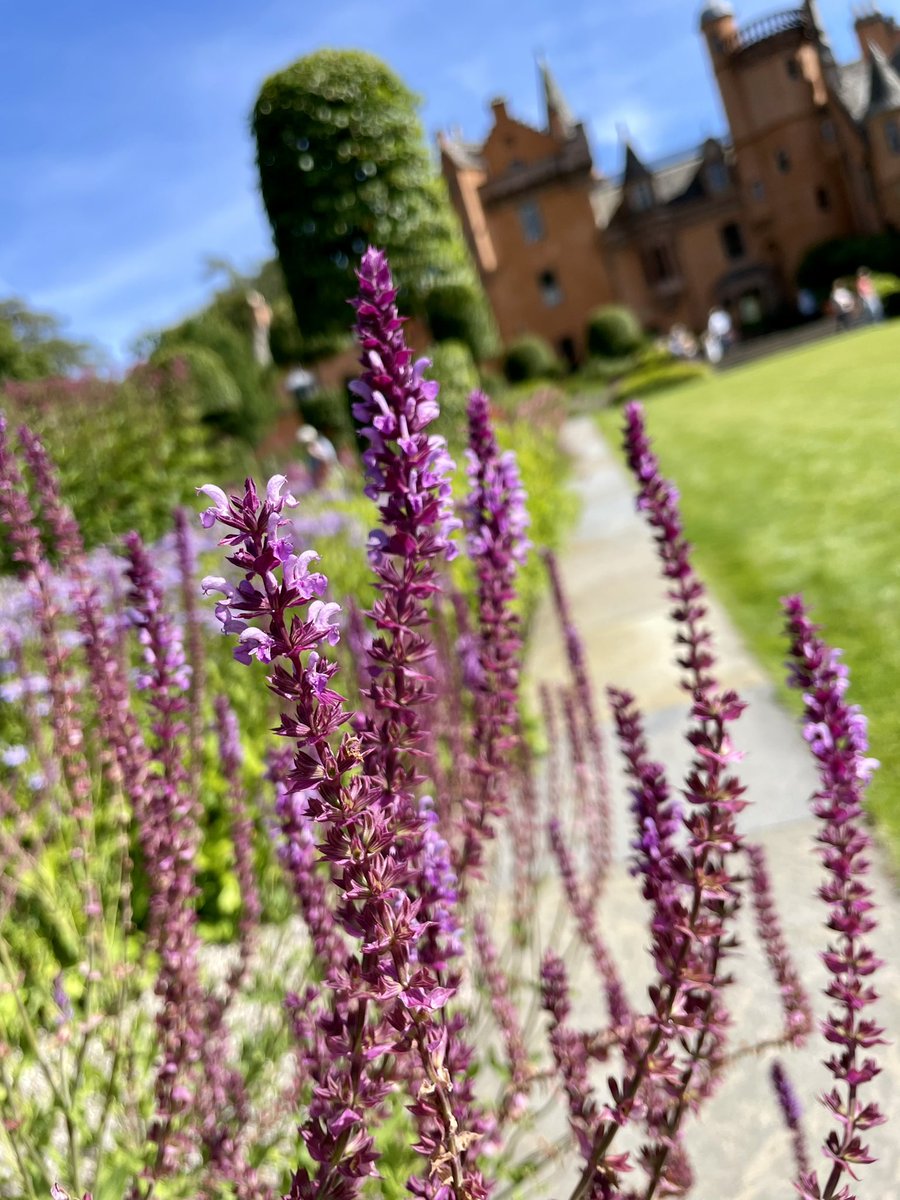 ShivmacbS's tweet photo. Wow!!! An absolute treat for the senses this afternoon with a visit to @Aldourie gardens through @scotgardens &amp; supporting @HighlandHospice Just beautiful! #scottishgardens #inverness https://t.co/BLkPArnxj2