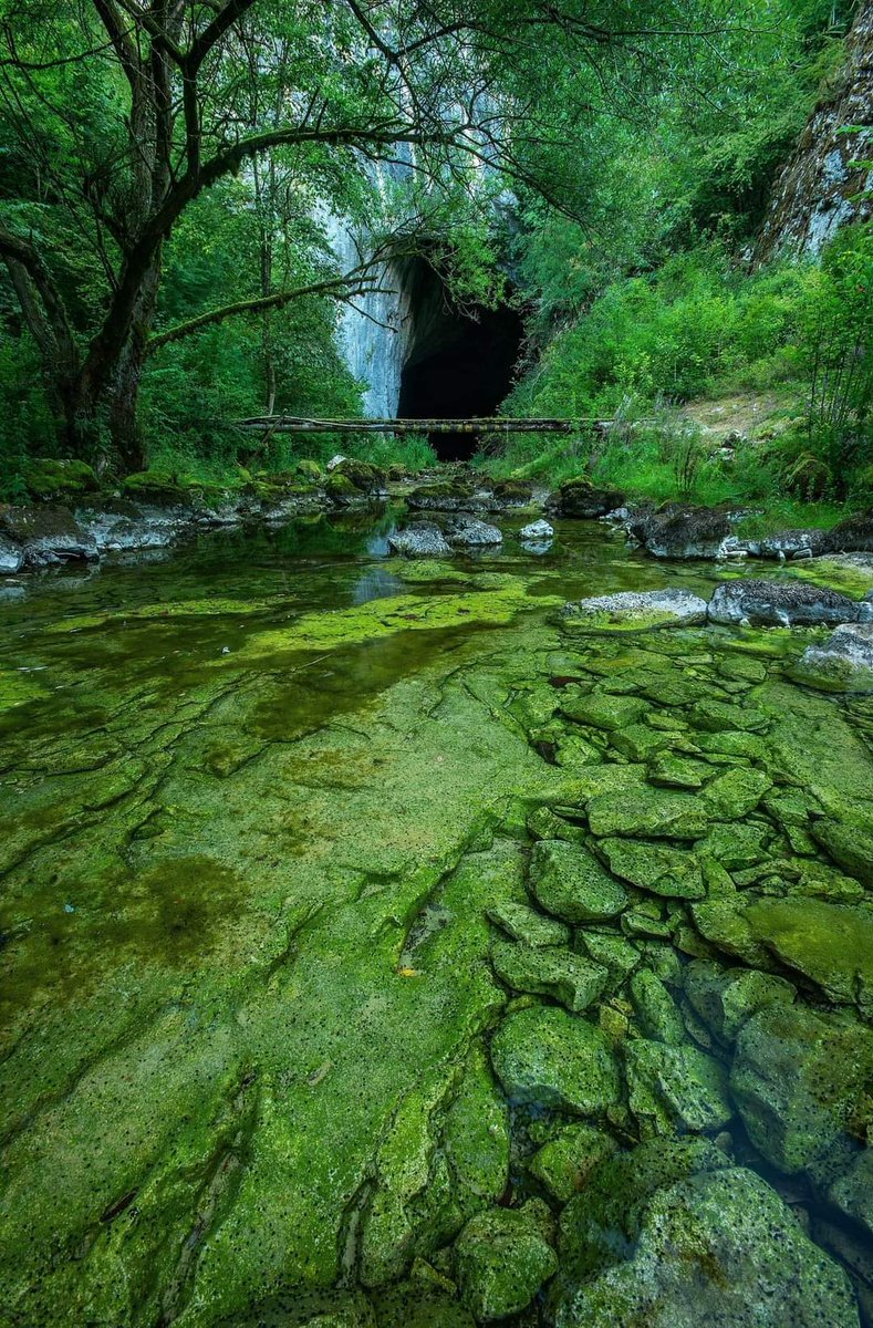 Dabarska Cave is located near the town of Sanski Most in Bosnia and Herzegovina. It’s situated in the northwest part of the country, in the municipality of Sanski Most, known for its natural beauty. The cave is in the village of Dabar, about 10 kilometers from Sanski Most.