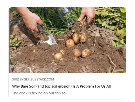 senger_sue's tweet photo. As you harvest your crops, it's time to use fill planting and cover crops to protect the soil.
#harvesttime
#covercrops
#growyourownfood

Why Bare Soil (and top soil erosion) Is A Problem For Us All  https://t.co/LCiJdd4Tl3 https://t.co/c3HPQqm2kb