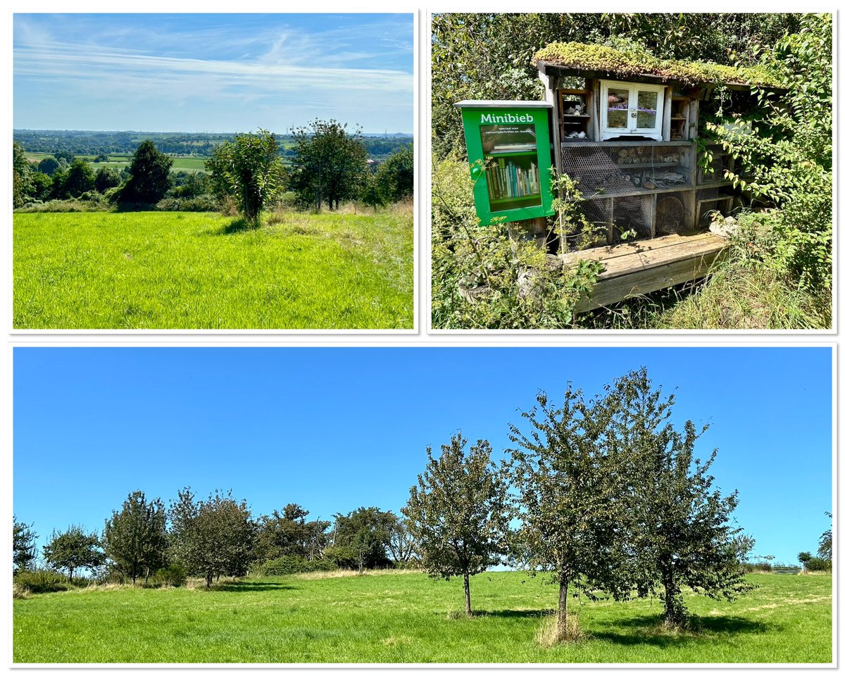 HennyLangendijk's tweet photo. #cultuurtocht2024 dag 1(1): wandeling door particulier landgoed de Waardhoff bij #Mesch: mooie vergezichten, wilde morellen en ‘Alpenweide’. @COostwegel https://t.co/DBiiwyCiOW