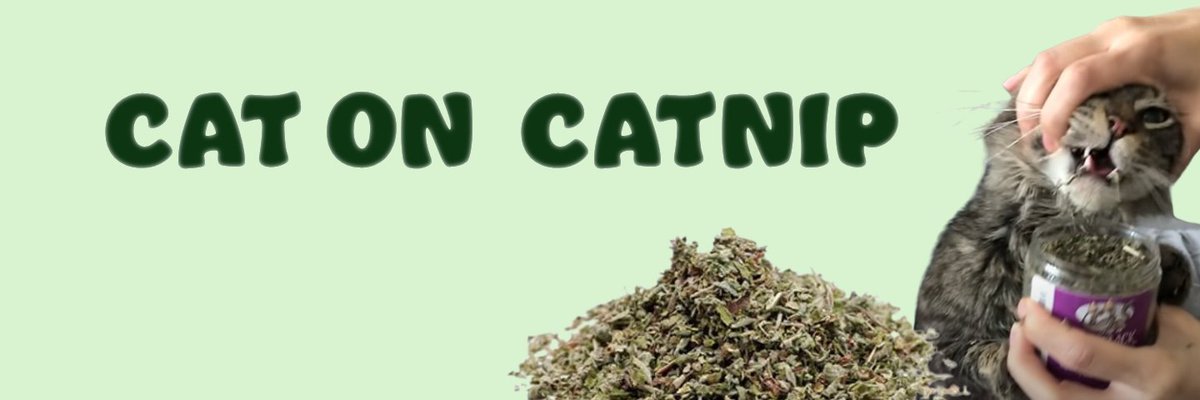 CatOnCatnipSOL's tweet photo. @shahh KING OF THE HILL - $COC  
226+ replies 
160+ holders 
60+ in TG    
New Website - https://t.co/viyALR1PCz   

Whats coming?   - Dex Ads  - Callers  - Fatality https://t.co/52lunwPgkD