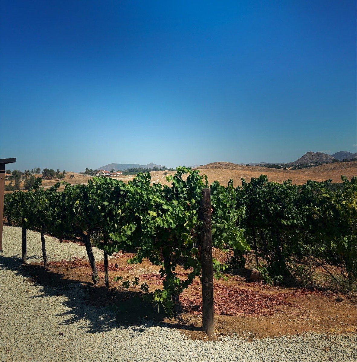 ༺❤︎༻ tweet media