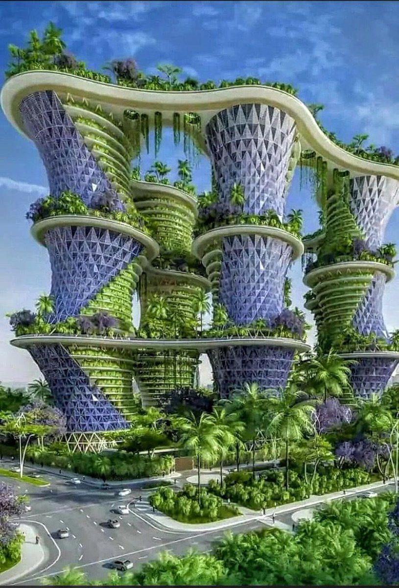 avocadoalison's tweet photo. #solarpunk https://t.co/cEuKG8GSLL