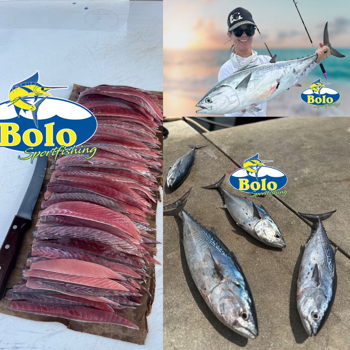 BOLOsportfish's tweet photo. When your office girl is out fishing for bait.  #bonitas https://t.co/9zxRXlMRxn