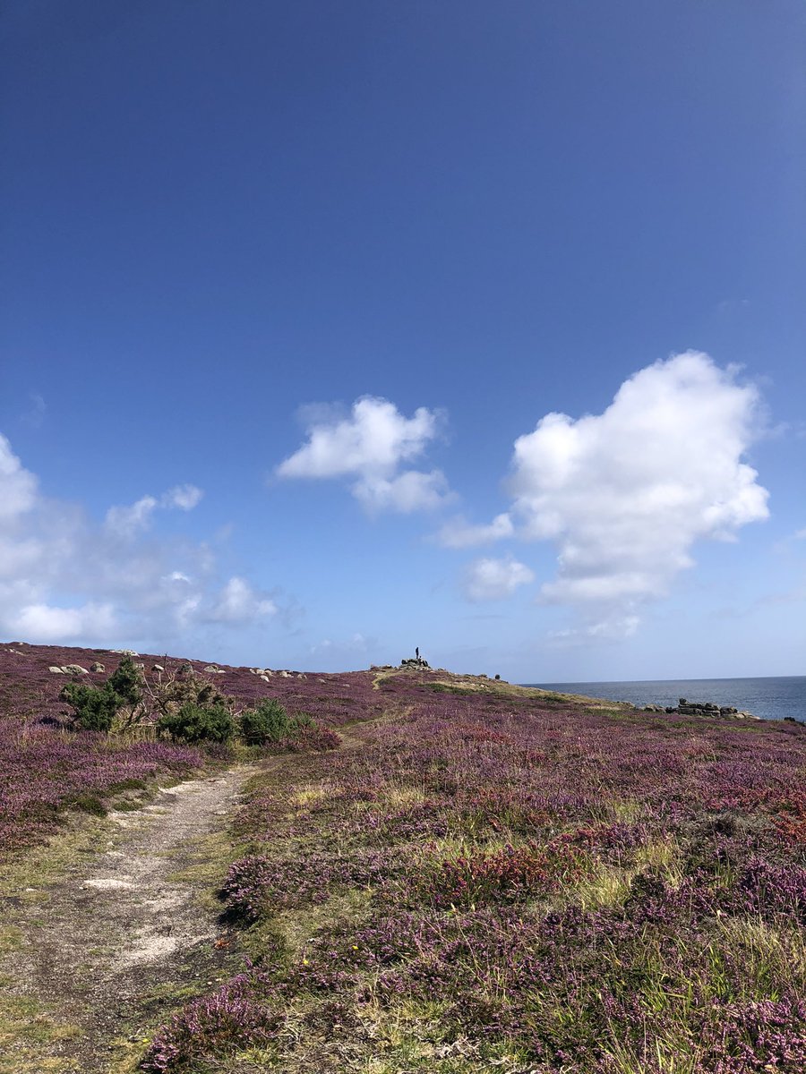 Mor poets tweet media