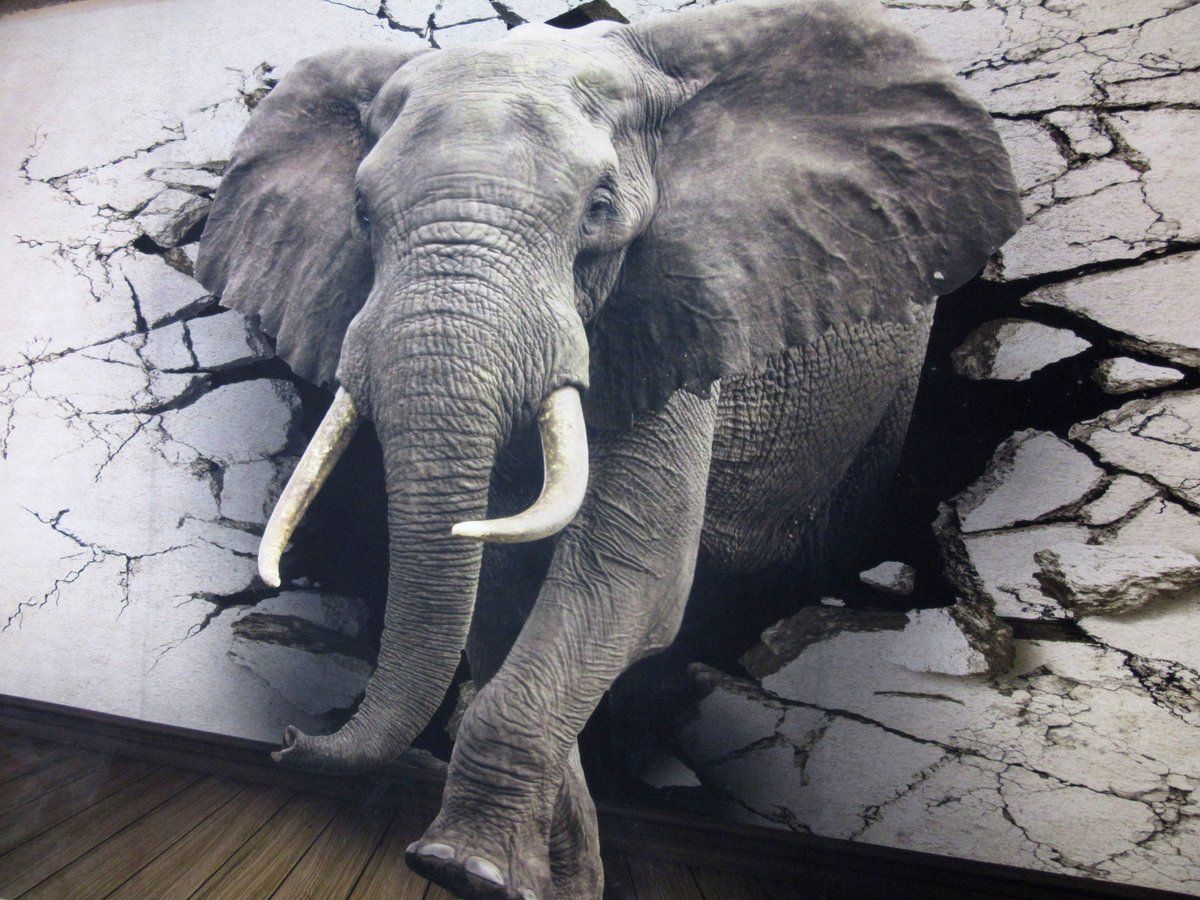 😒The tiny #Uranium #mining sector🐞 may have been squashed🦶 by a stampeding herd of recession-fearing Wall Street elephants🐘 fleeing #stocks to the safety of cash🏦💵 but the bullish #Nuclear news keeps on stacking up like never before!📚⚛️📰🐂🤠
In just the past 2 months
