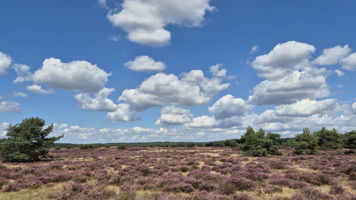 In de buurt van #Garderen ...