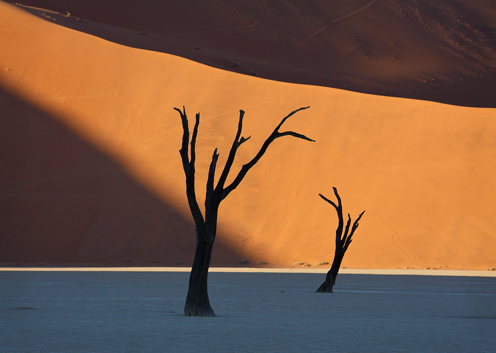 There is beauty in simplicity and in my article at this link bit.ly/4fHRnp2, I share tips for creating images which are compelling not only in what they include but also in what they exclude. Images which are simple, yet evocative, can be particularly powerful.