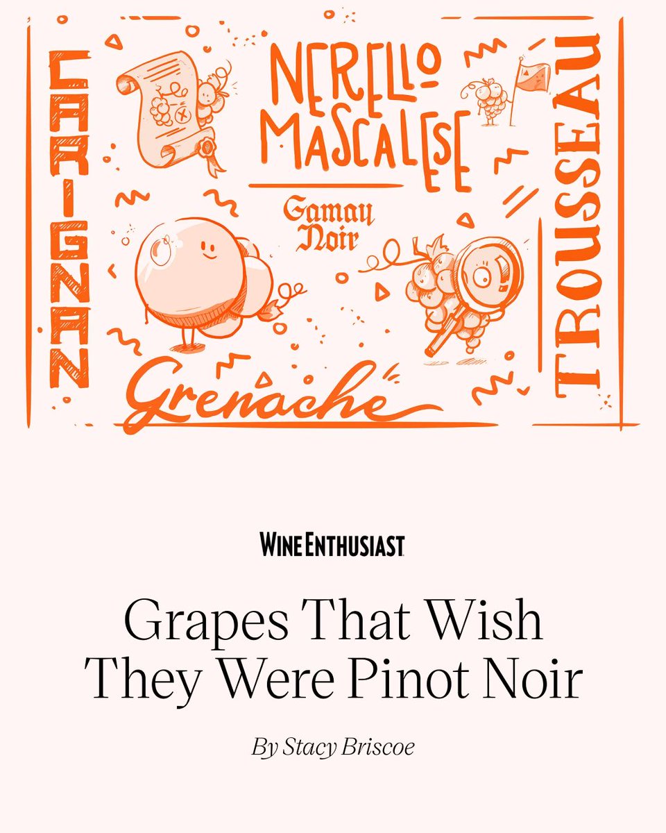 WineEnthusiast's tweet photo. Craving Pinot Noir? Discover top alternatives that might surprise you. 🍷

Explore the list of grapes here 👉️ https://t.co/lG10LHDMHU https://t.co/LzZwlWUrAg