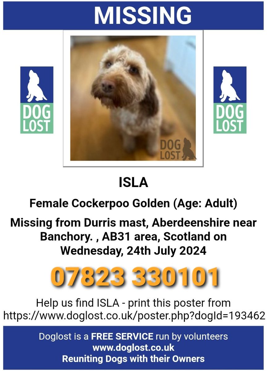 MissingPetsGB's tweet photo. ISLA STILL #MISSING #banchory #woodlandofdurris #strachan #stonehaven #crathes #drumoak #Laurencekirk
ISLA COCKAPOO IS LOST IN AREA AROUND DURRIS WOODS, NORTH OF BANCHORY & TOWARDS ABERDEEN. SHE COULD HAVE ROAMED SOME DISTANCE NOW.SHE IS SPAYED & MICROCHIPPED #stolendoghour https://t.co/LiGkXkFBzR
