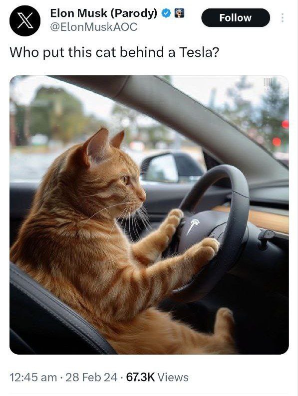 teslacat_dinger's tweet photo. Who Put Cat Behind A Tesla? Elon Musk loves cats! We Love Cats! You too? $DINGER, is a cat associated with Elon Musk who own's TESLA electric car company. We hope you enjoy this combination!

TG: https://t.co/lsUp1dwE7V

Contract: mqqYXzGk439SrvjBQHdJJg4G96uNiuPkfUNEz1jVYAr https://t.co/7W0pk7AY5N