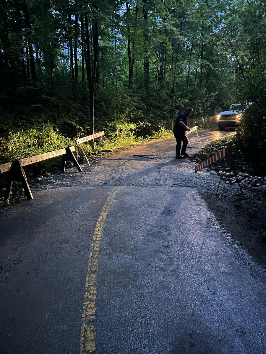 Gatineau Park tweet media