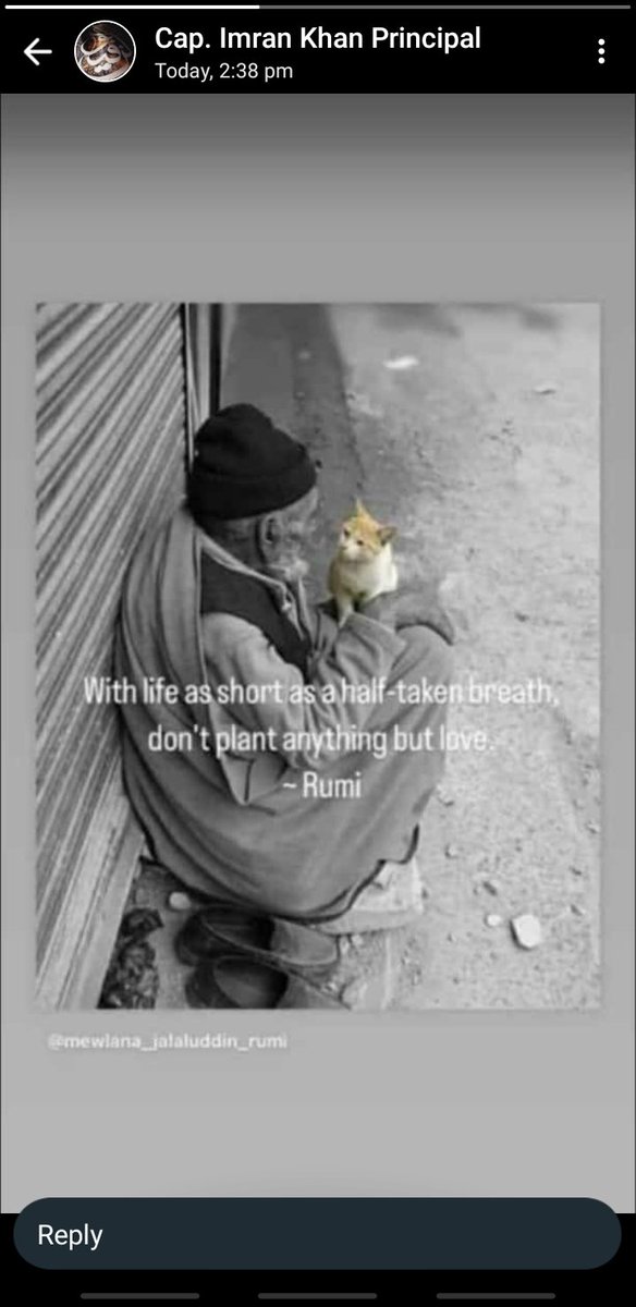 Rumi....
#ArshadNadeem #Kanguva #Israel #DestinyClinicxLingOrm #HindenbergReport #bbnaijaseason9 #Paris2024 #GOAT #hamsterkombatcombo