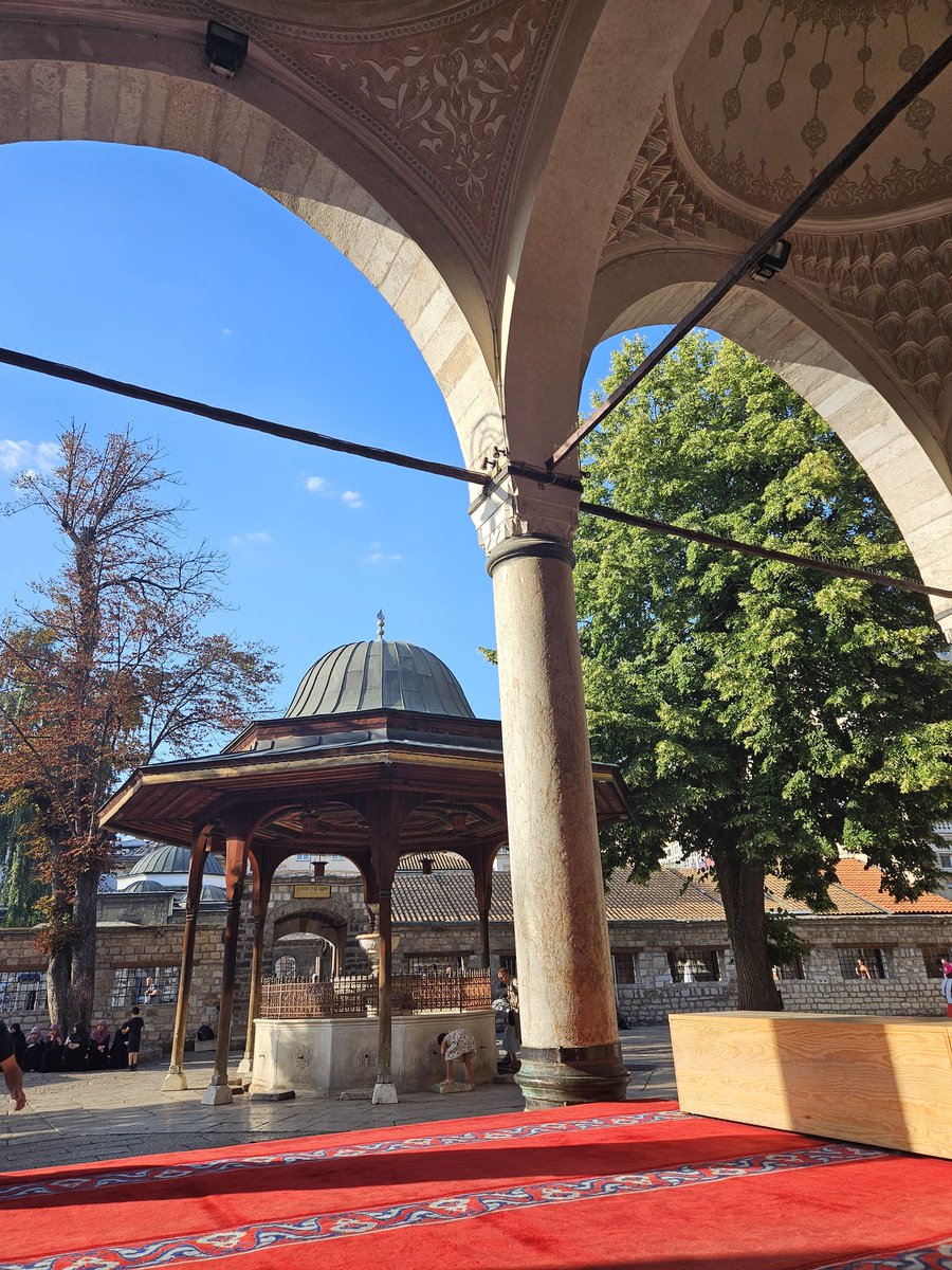 Friend: "After coming to #Bosnia 🇧🇦, hearing its stories, meeting its people, learning its history, it has answered a question that has weighed heavily on my heart"

Me: "What do you mean?"

Friend: "I am certain now that Palestine will win, and Gaza will be rebuilt"

#Resilience