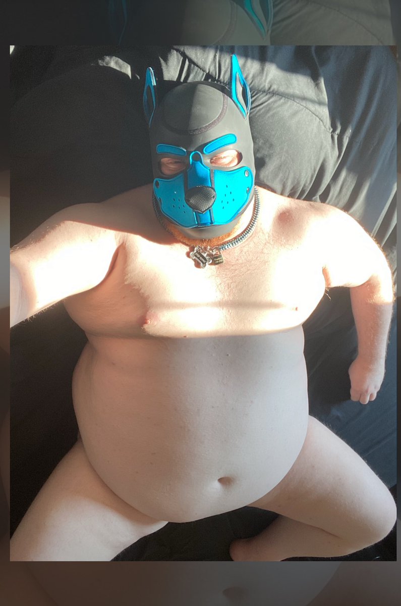 Pup Kane tweet media