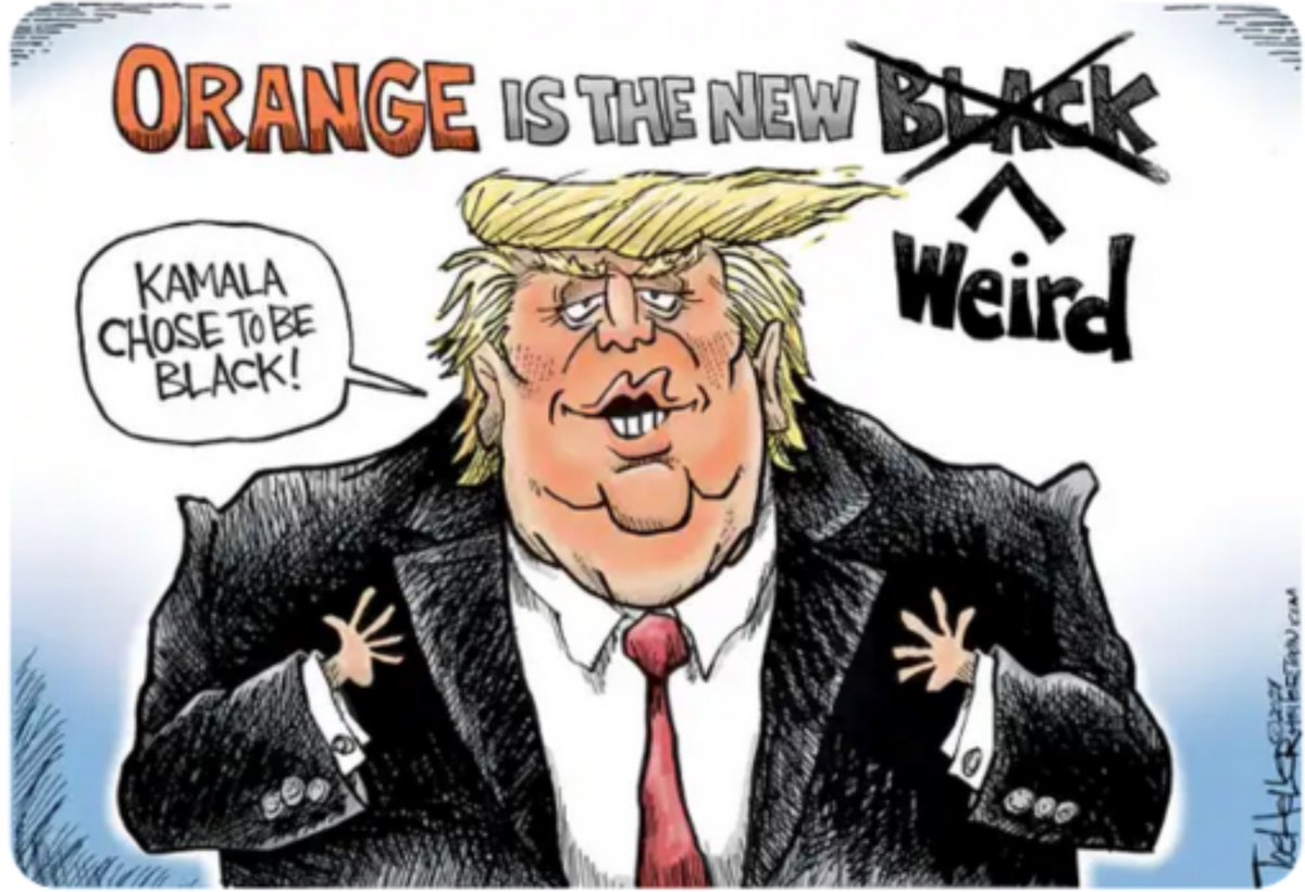 bloretta561's tweet photo. @CalltoActivism @01020520254045 Also, President Biden had Covid at the time. Trump's mental health is worsening daily. He doesn't look well. The Republicans spend --way too much time on a compromise ex-president who can  only be in office 4 years. It doesn't make any sense. #ReplaceTrump https://t.co/DtXTLcX9UM