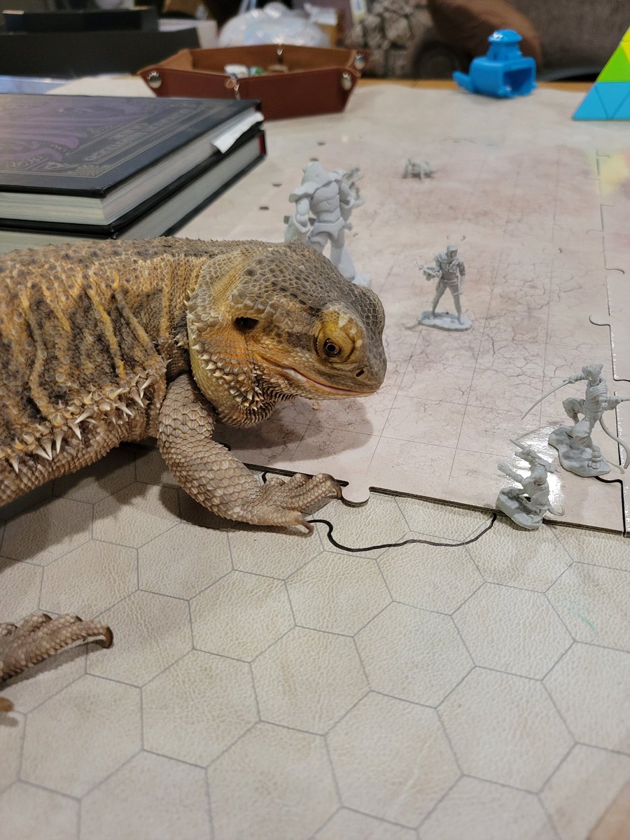 Timeless Storm |GSG| tweet media