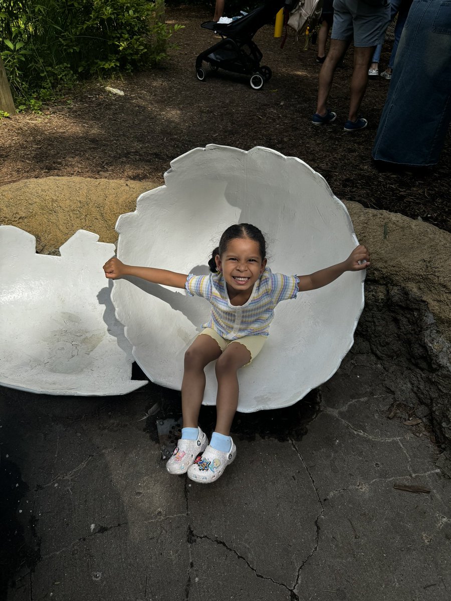 MeggoKahn's tweet photo. Ava has been adjusting really well. Here are some photos of her at the zoo we live not too far from https://t.co/mkNUTFLuKS