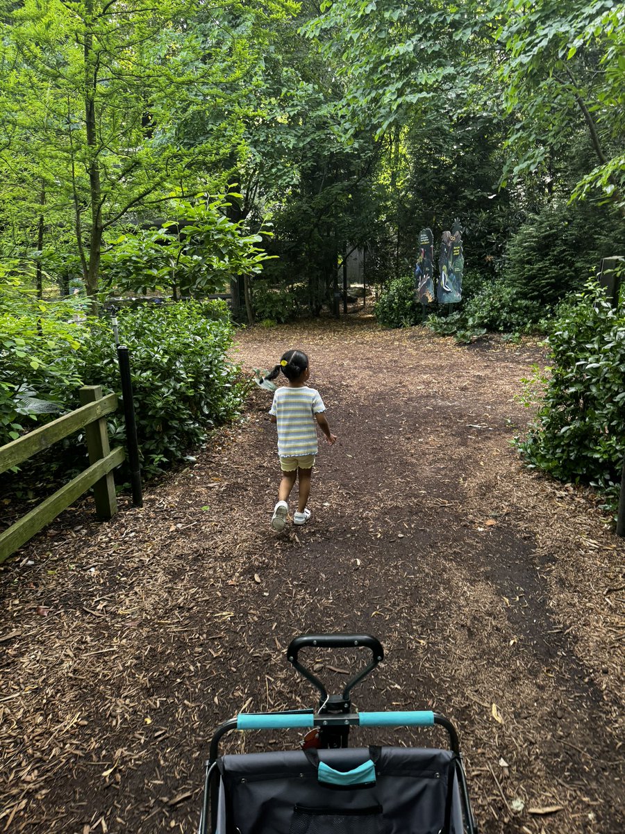 MeggoKahn's tweet photo. Ava has been adjusting really well. Here are some photos of her at the zoo we live not too far from https://t.co/mkNUTFLuKS