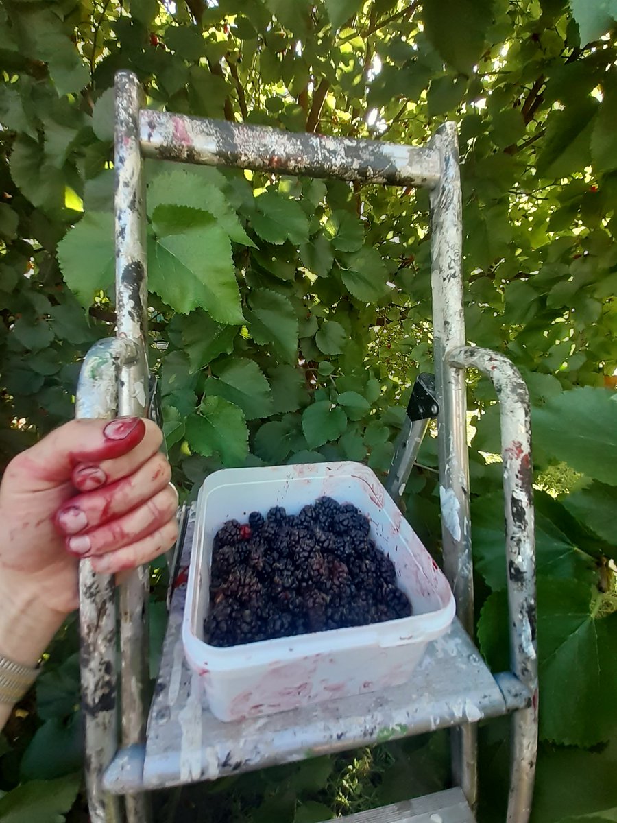 Fruit Works tweet media