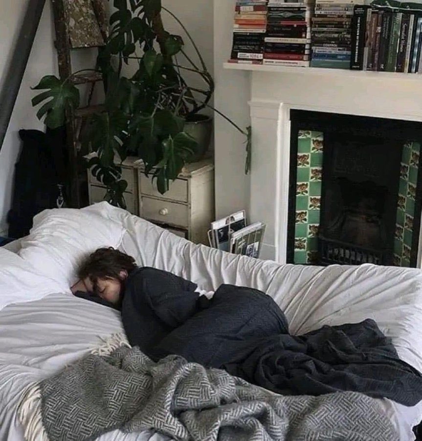 “thank god it’s the weekend”

me Saturday and Sunday: