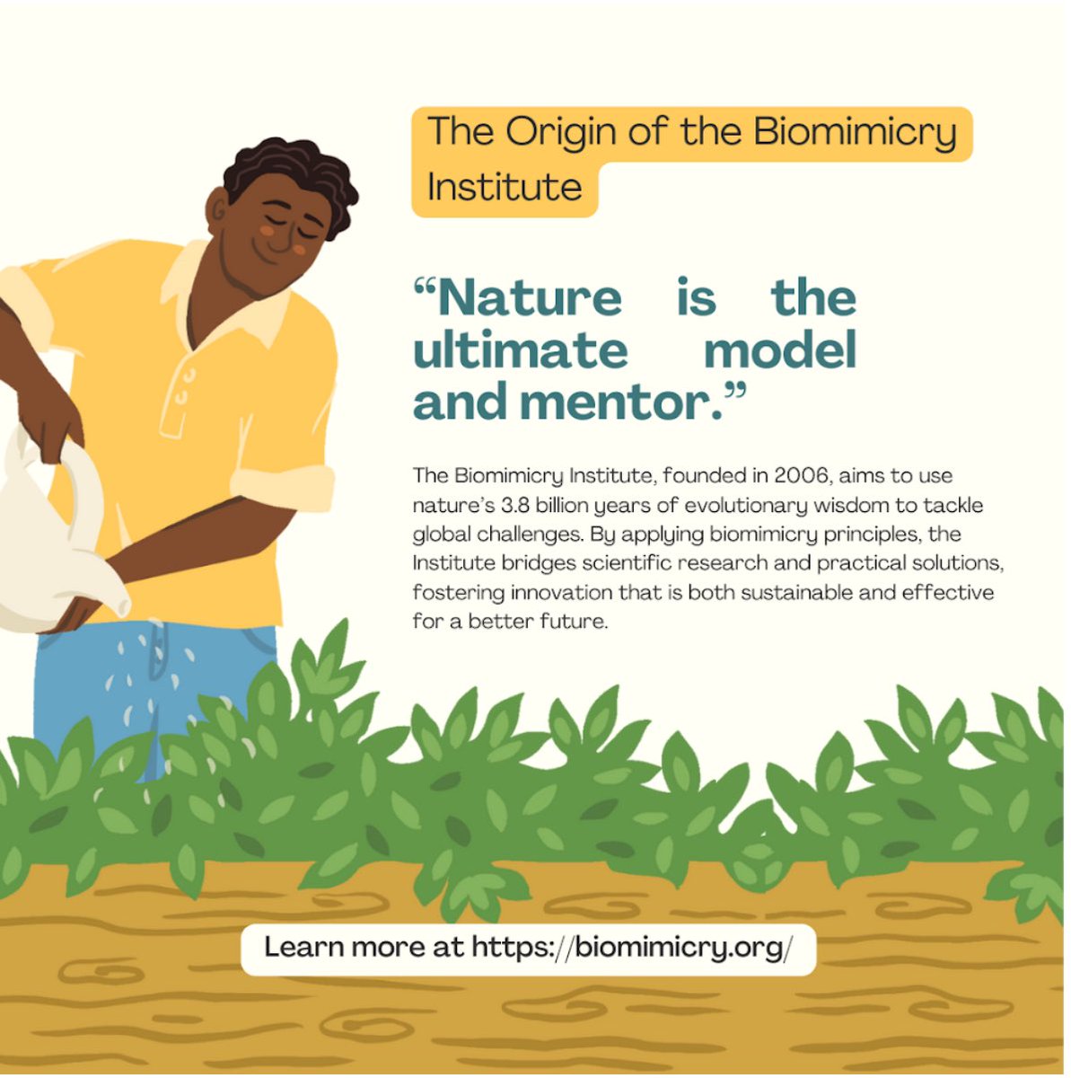 theecofluence's tweet image. #biomimicry #architecture #nonprofit #YOUTH