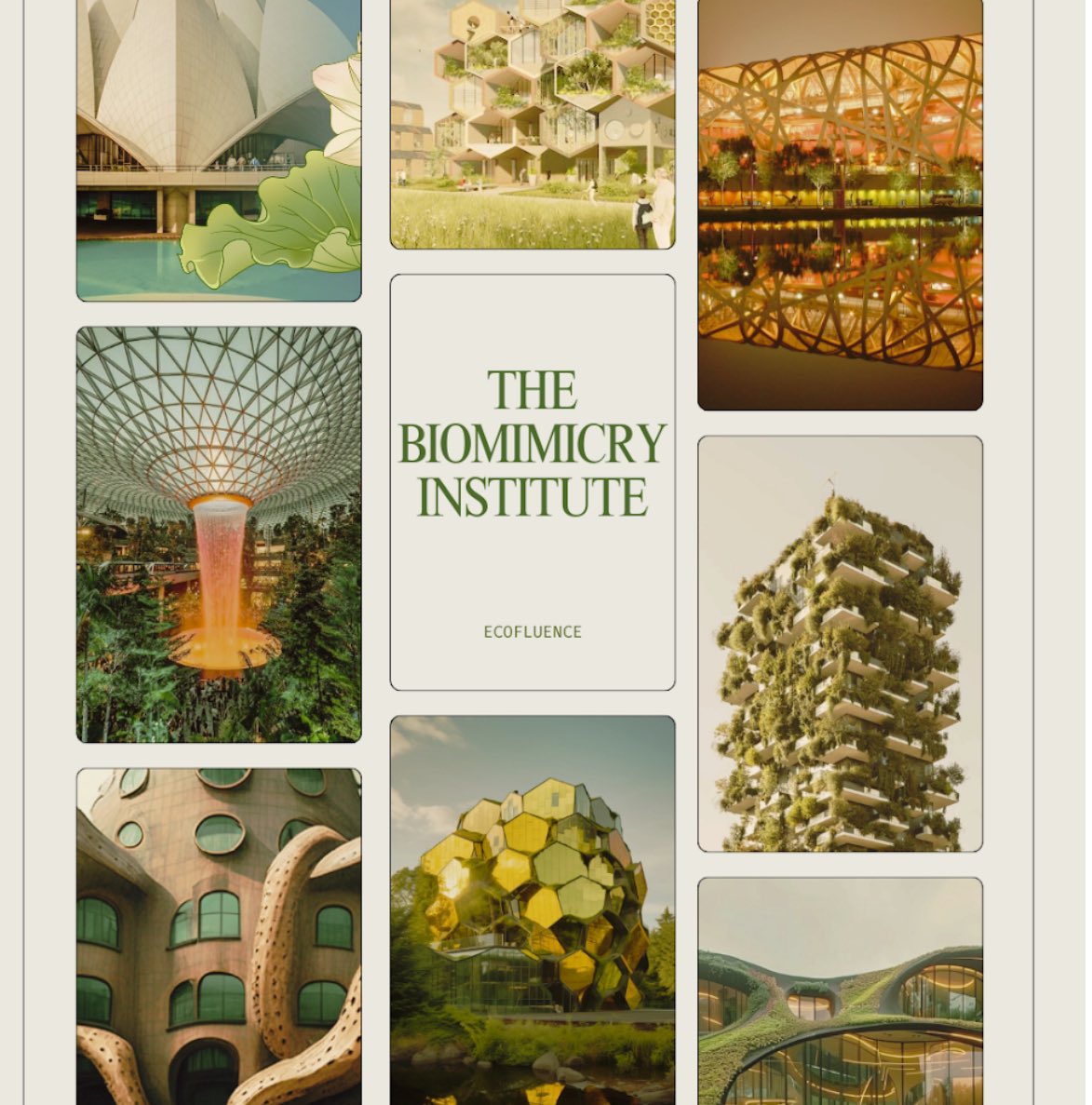 theecofluence's tweet image. #biomimicry #architecture #nonprofit #YOUTH