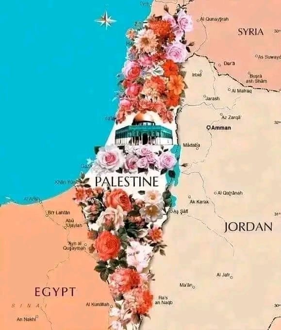 BySocialista's tweet photo. Palestina 🕊️ https://t.co/JVDoME3bBM