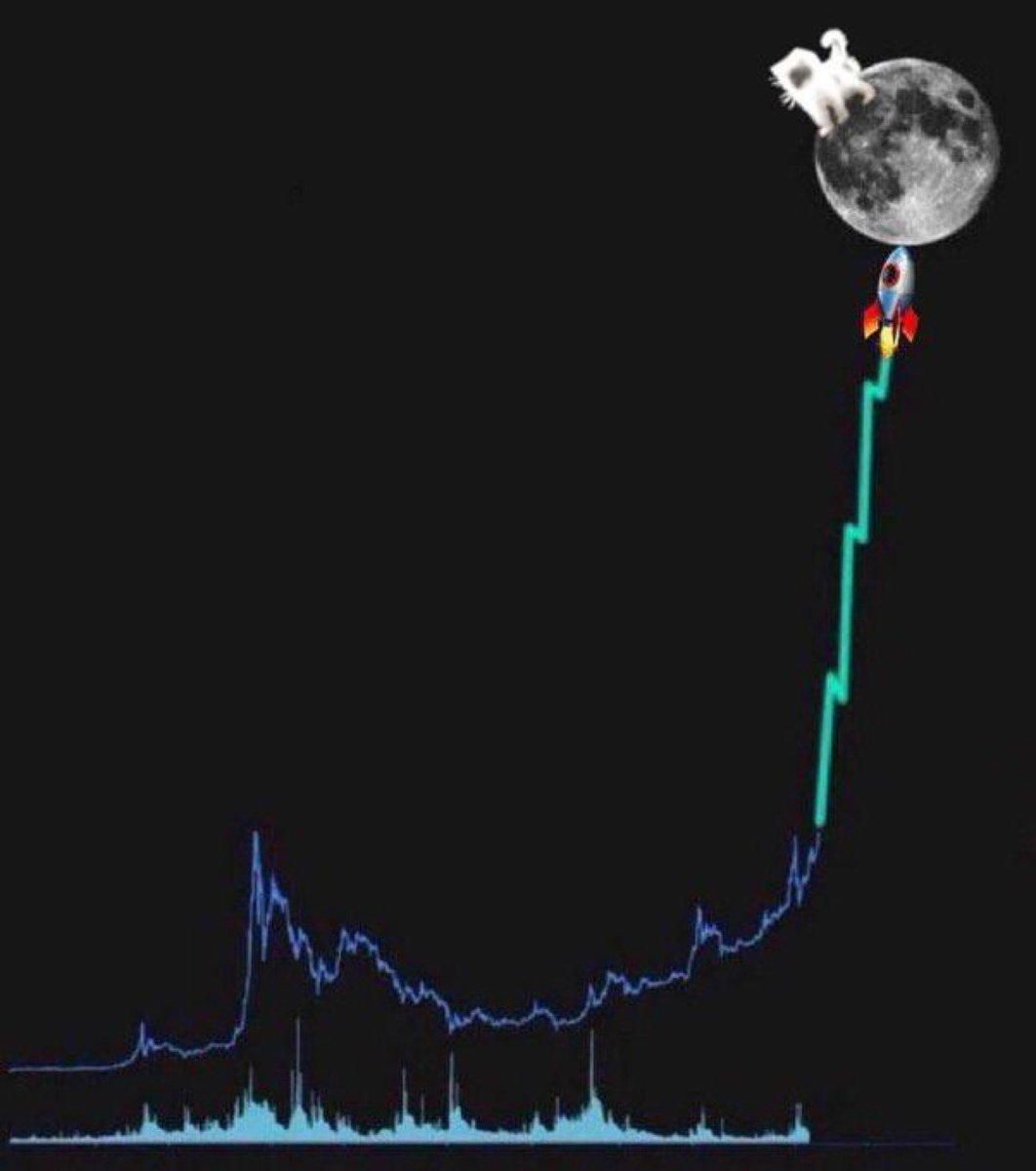 GlowCatEth's tweet photo. $GLOW ing to the moon . https://t.co/tDZsFGDpkX