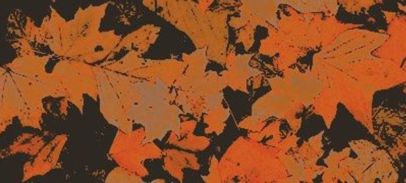 ‍ ‍ 𝕸𝖎𝖈𝖍𝖆𝖎𝖑 ‍ ‍ (@bleedlng0ut) on Twitter photo 