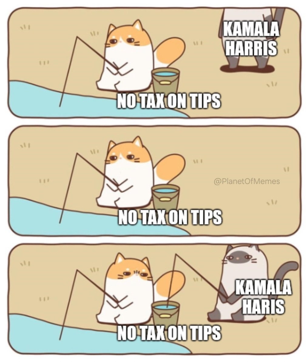 Planet Of Memes tweet media