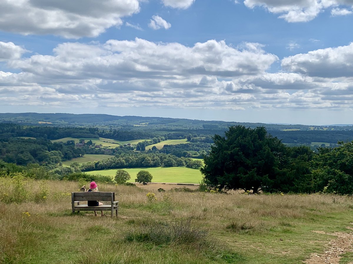 Andrea Newman (@newman_andrea) on Twitter photo 3 hours child free so went for a bit of a walk in the very hot sun! <a href="/SurreyHillsNL/">Surrey Hills National Landscape</a> 3 hours child free so went for a bit of a walk in the very hot sun! <a href="/SurreyHillsNL/">Surrey Hills National Landscape</a>