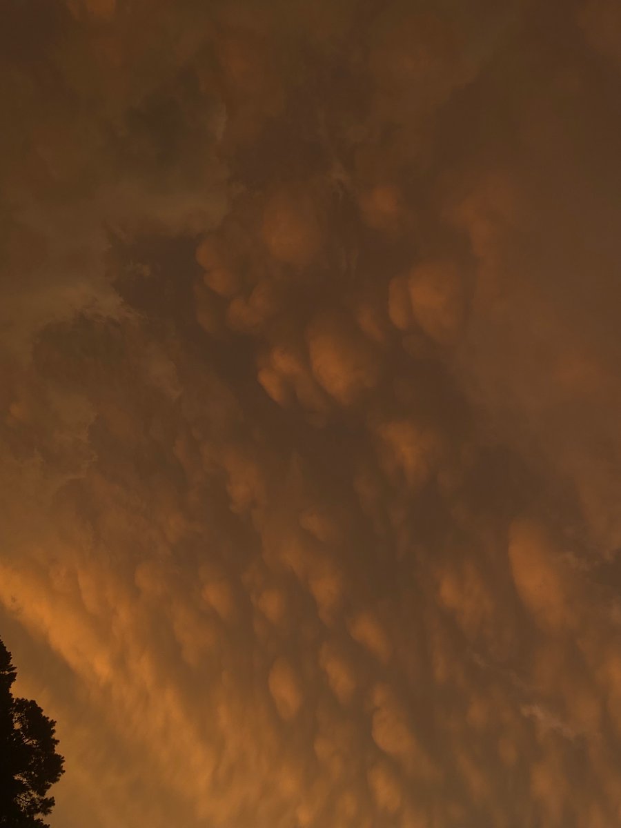 funklybonez's tweet photo. Guys. Have I won?
#sunsetphotography #photographylovers #photograghy https://t.co/2KKZMedFeu